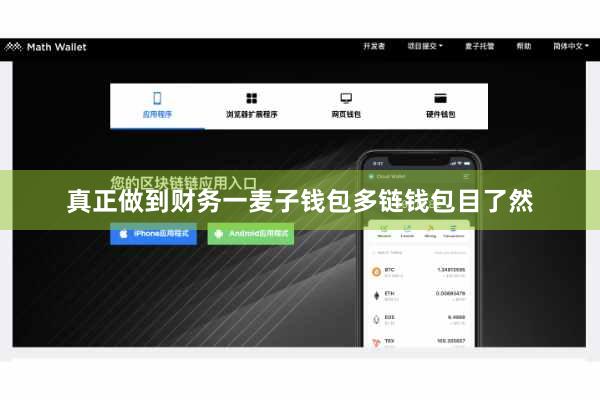 真正做到财务一麦子钱包多链钱包目了然
