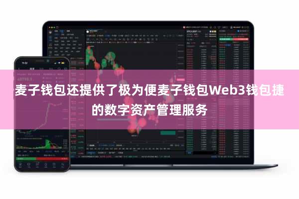 麦子钱包还提供了极为便麦子钱包Web3钱包捷的数字资产管理服务