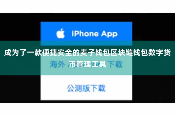 成为了一款便捷安全的麦子钱包区块链钱包数字货币管理工具