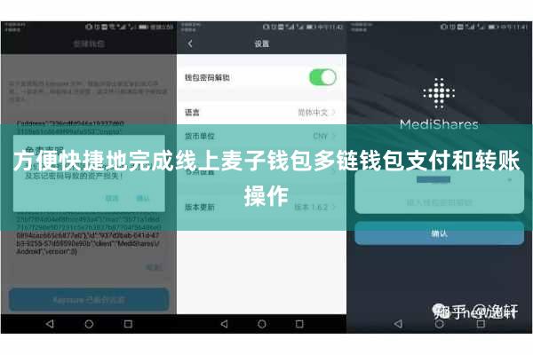 方便快捷地完成线上麦子钱包多链钱包支付和转账操作