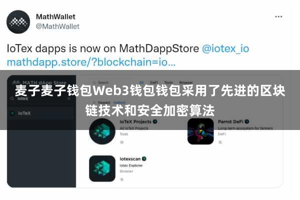 麦子麦子钱包Web3钱包钱包采用了先进的区块链技术和安全加密算法