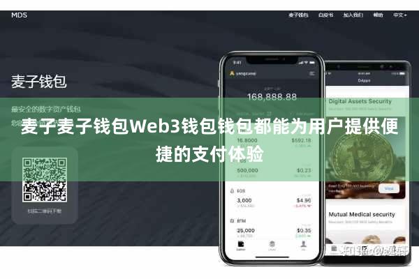 麦子麦子钱包Web3钱包钱包都能为用户提供便捷的支付体验