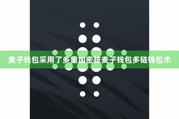 麦子钱包采用了多重加密技麦子钱包多链钱包术