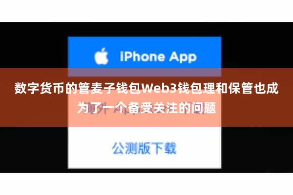 数字货币的管麦子钱包Web3钱包理和保管也成为了一个备受关注的问题