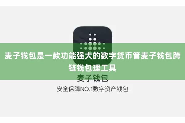 麦子钱包是一款功能强大的数字货币管麦子钱包跨链钱包理工具