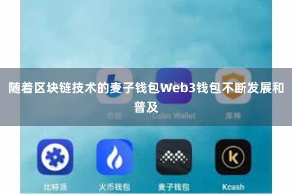 随着区块链技术的麦子钱包Web3钱包不断发展和普及