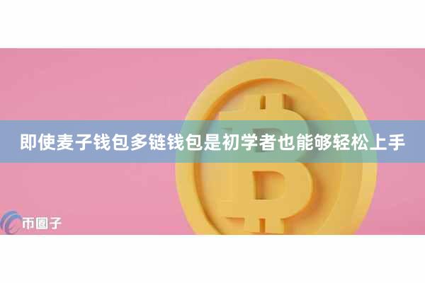 即使麦子钱包多链钱包是初学者也能够轻松上手