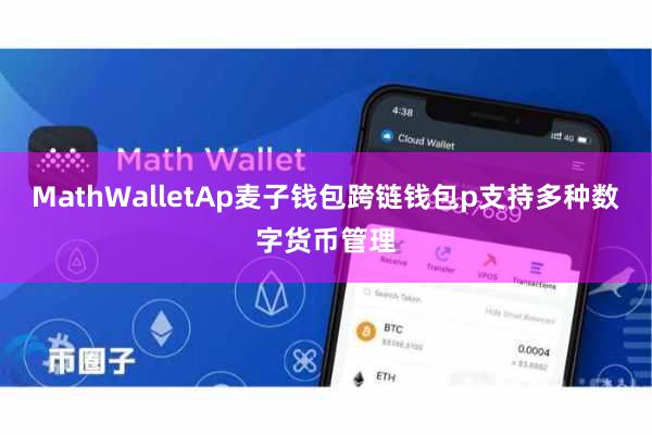 MathWalletAp麦子钱包跨链钱包p支持多种数字货币管理