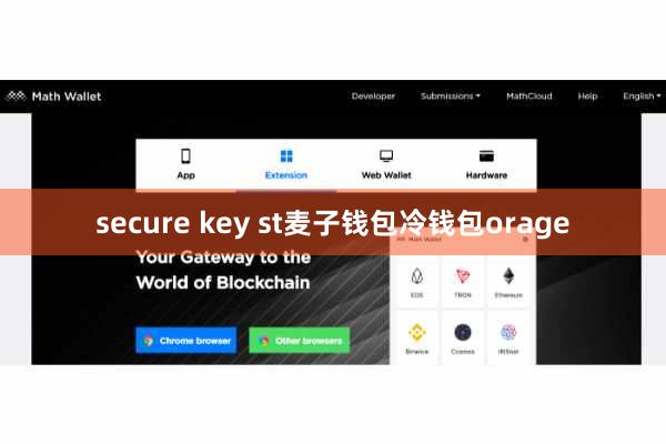 secure key st麦子钱包冷钱包orage