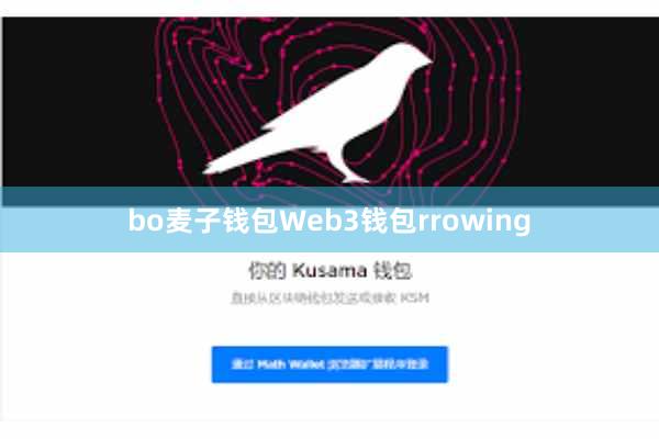 bo麦子钱包Web3钱包rrowing