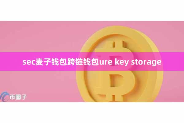 sec麦子钱包跨链钱包ure key storage