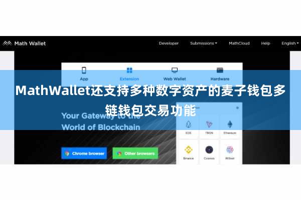 MathWallet还支持多种数字资产的麦子钱包多链钱包交易功能