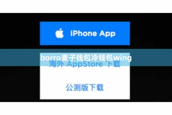 borro麦子钱包冷钱包wing