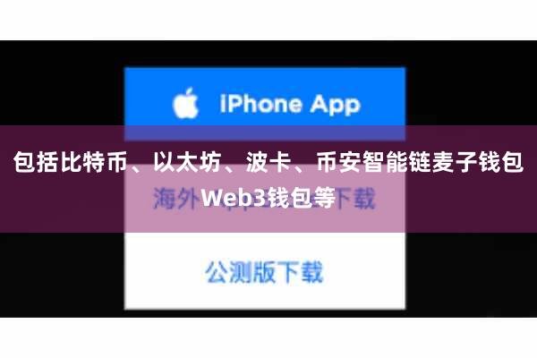 包括比特币、以太坊、波卡、币安智能链麦子钱包Web3钱包等