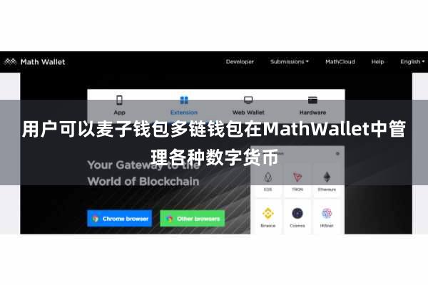 用户可以麦子钱包多链钱包在MathWallet中管理各种数字货币
