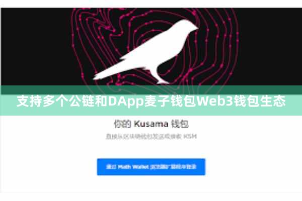 支持多个公链和DApp麦子钱包Web3钱包生态