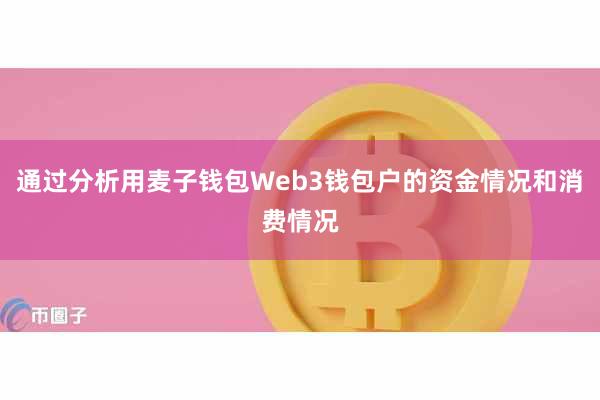 通过分析用麦子钱包Web3钱包户的资金情况和消费情况