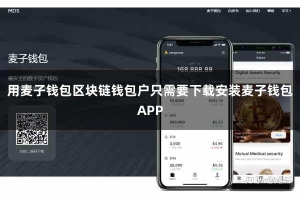 用麦子钱包区块链钱包户只需要下载安装麦子钱包APP
