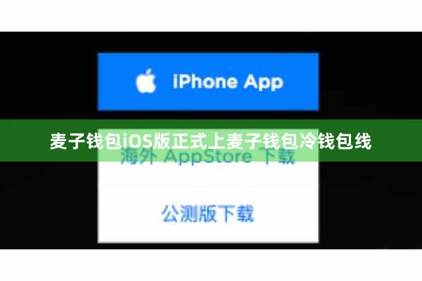 麦子钱包iOS版正式上麦子钱包冷钱包线