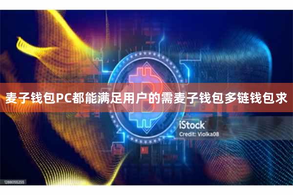 麦子钱包PC都能满足用户的需麦子钱包多链钱包求