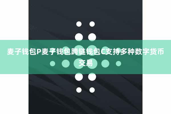 麦子钱包P麦子钱包跨链钱包C支持多种数字货币交易
