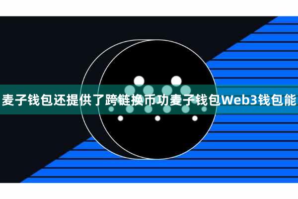 麦子钱包还提供了跨链换币功麦子钱包Web3钱包能