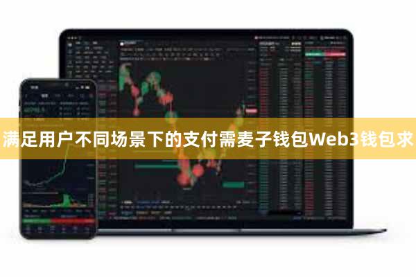 满足用户不同场景下的支付需麦子钱包Web3钱包求