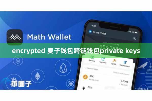 encrypted 麦子钱包跨链钱包private keys