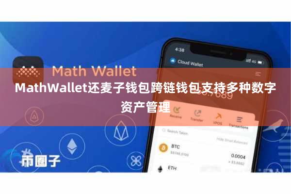 MathWallet还麦子钱包跨链钱包支持多种数字资产管理